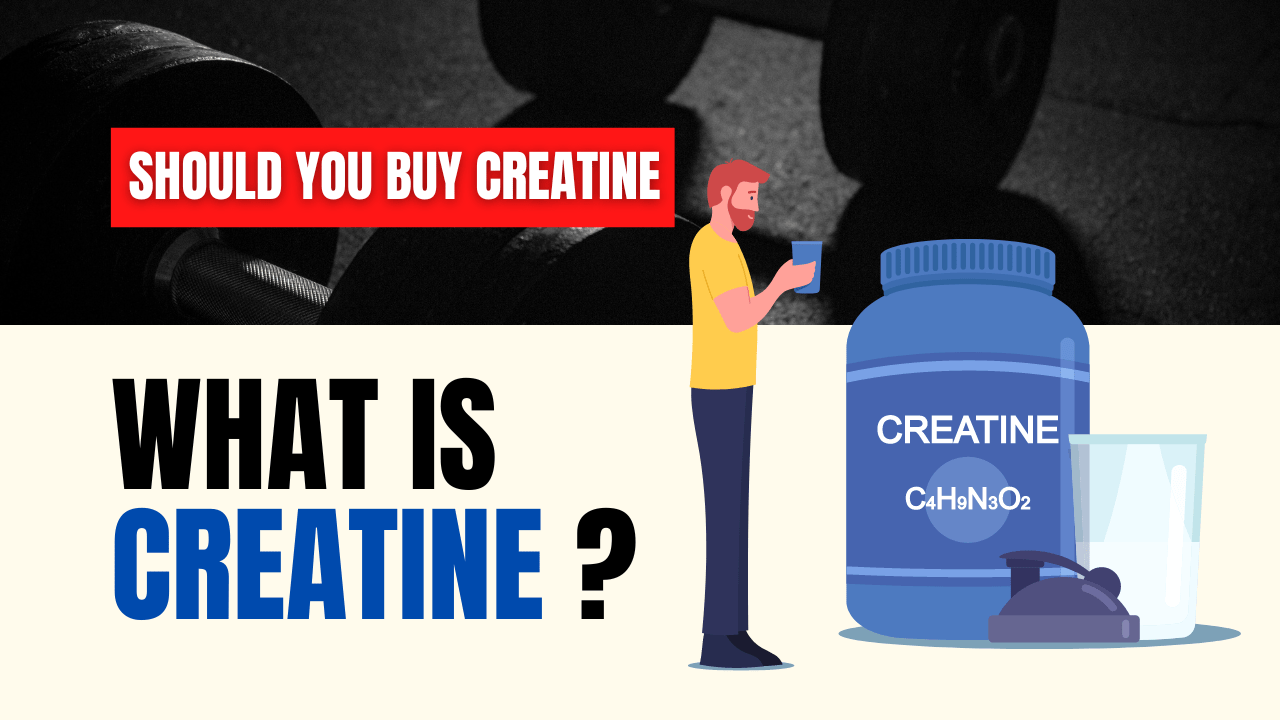 Read more about the article What Is Creatine ? Should You Be Taking Creatine?