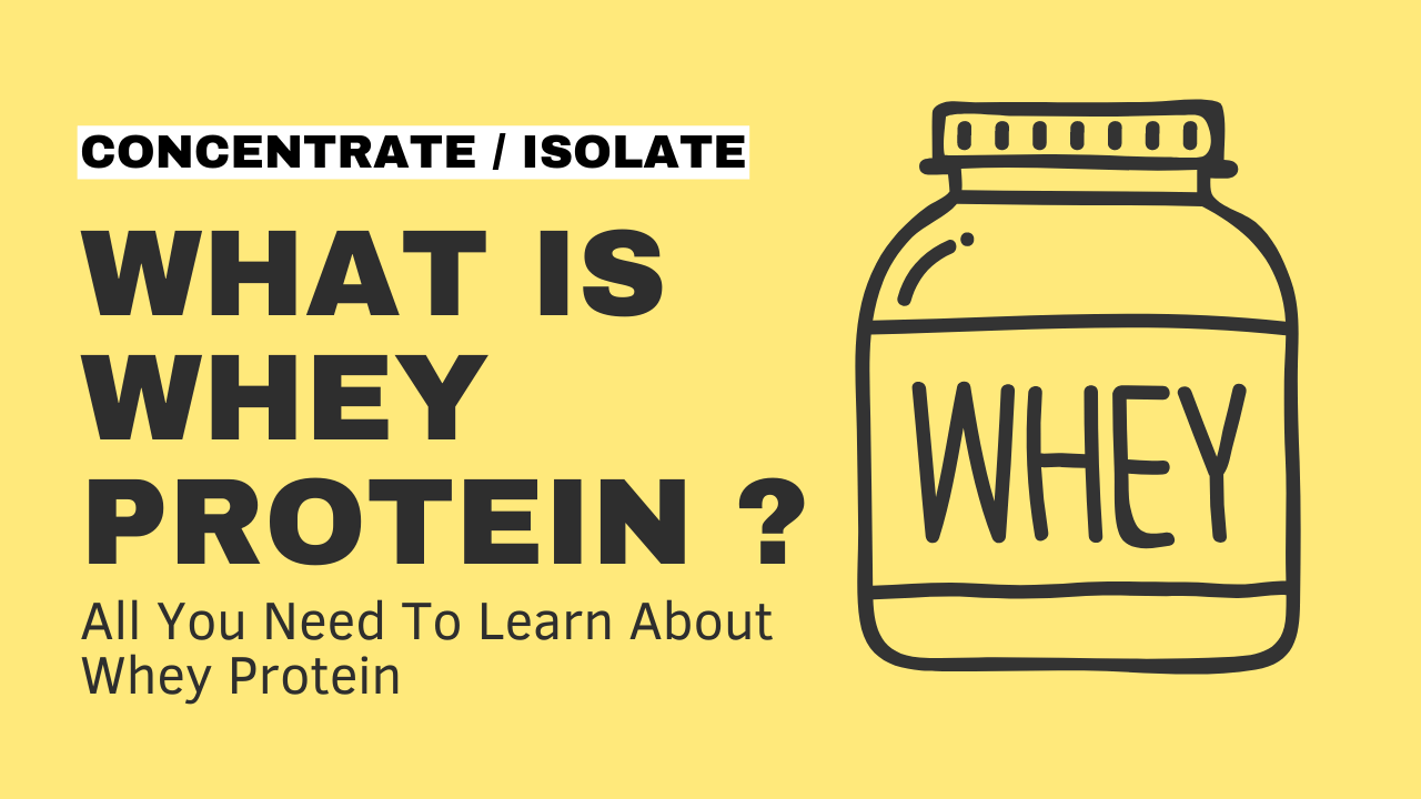 Read more about the article The Truth About Whey Protein and Muscle Gain