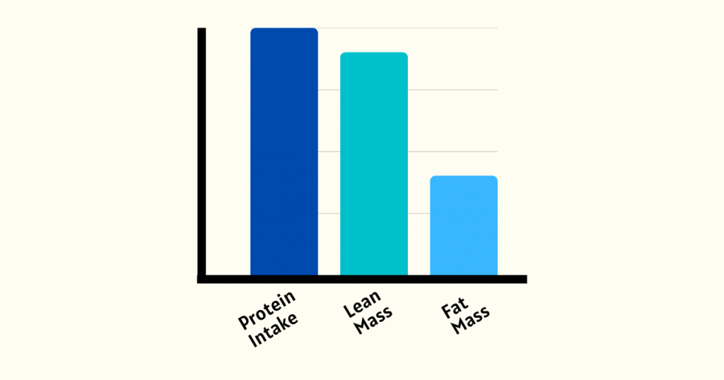 positive-relationship-between-lean-body-mass-and-protein-intake