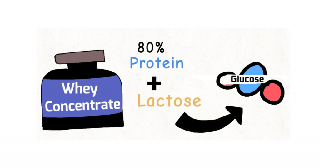 whey-protein-concentrate