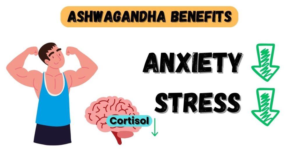 Ashwagandha-benifits