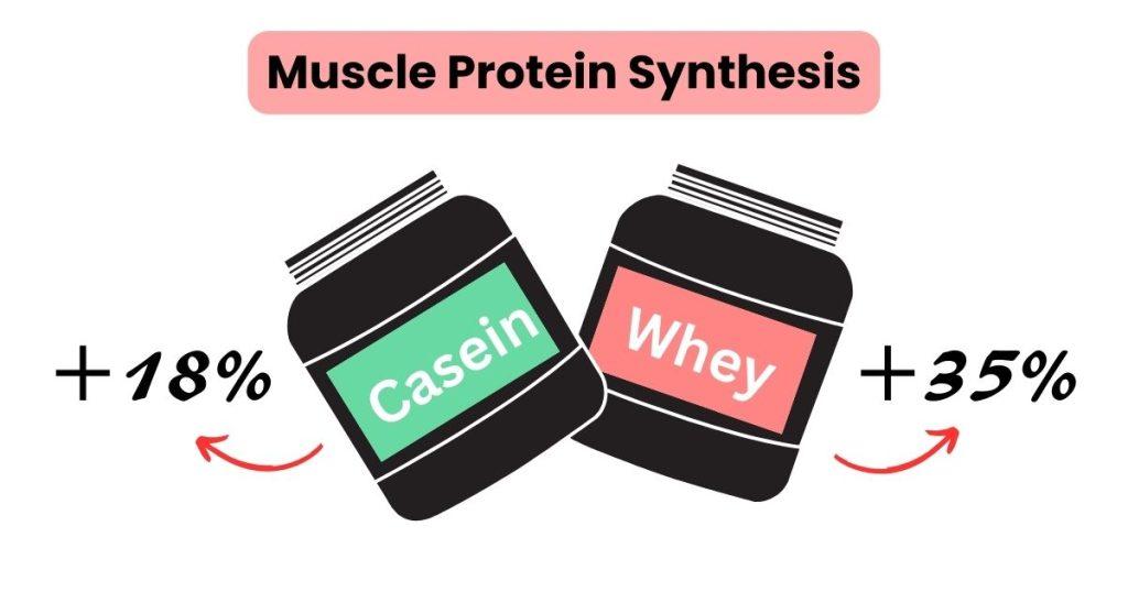 protein-before-bed-new-study-increase-in-muscle-protein-synthesis-over-to-the-placebo