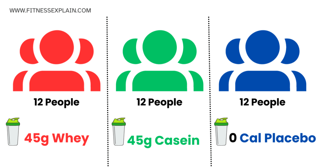 protein-before-bed-new-study-with-36-people-deviding-3-groups