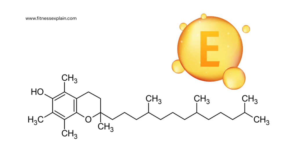 Vitamin-E-fitness-explain-most-Important-aVitamins-For-Optimal-Muscle-Growth