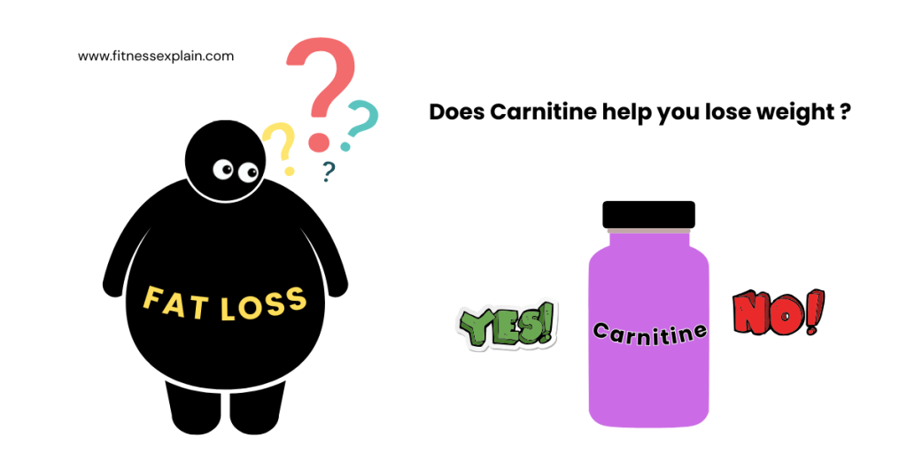 What-is-Carnitine-and-does-Carnitine-help-you-lose-weight-